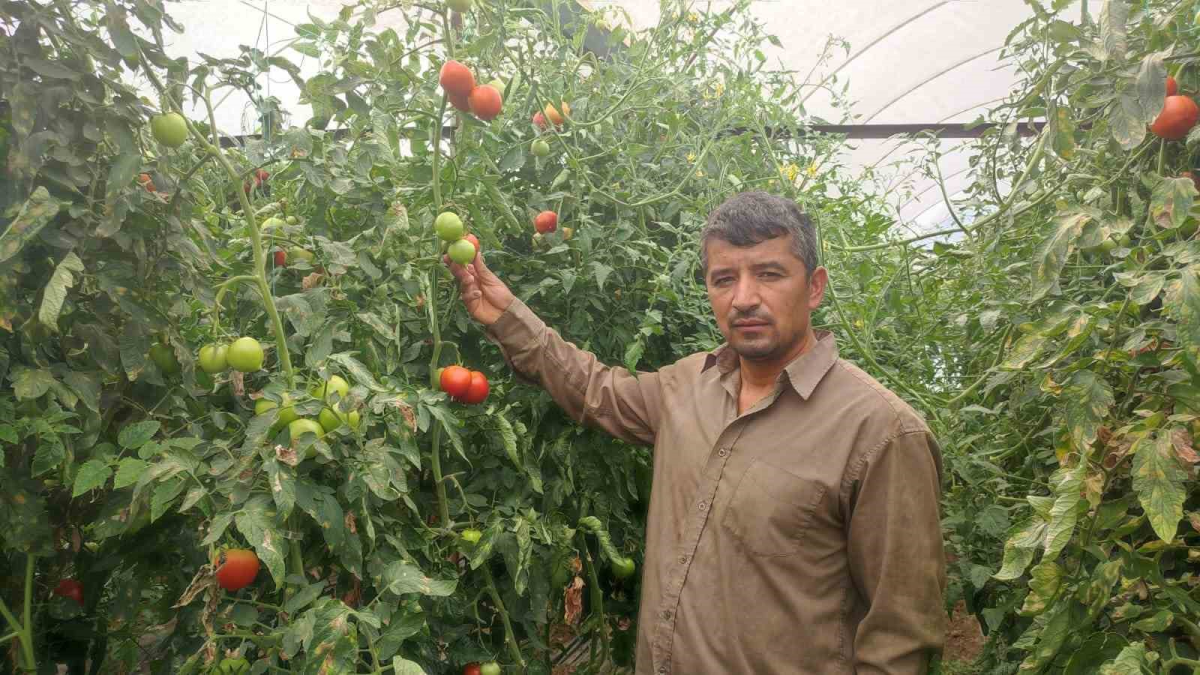 resim-2025-08-25-204722593