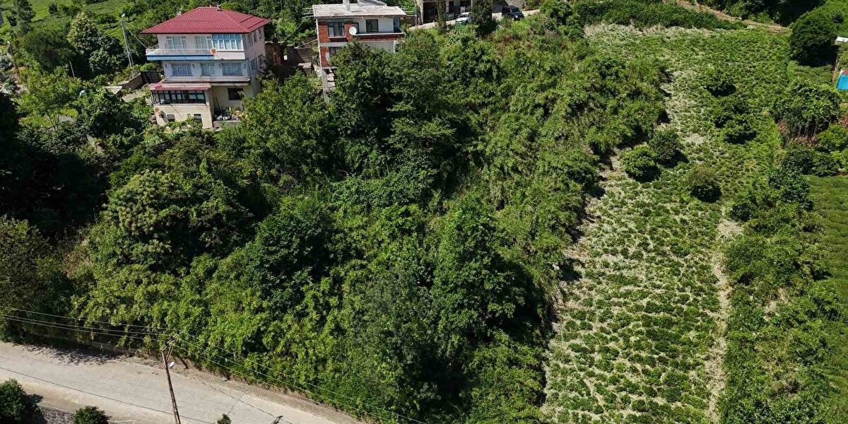 derepazari-kamis-hayriye-kaya-1