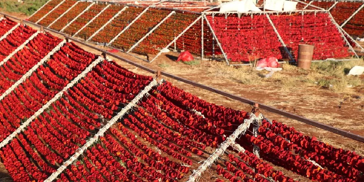 gaziantep-cografi-isaret