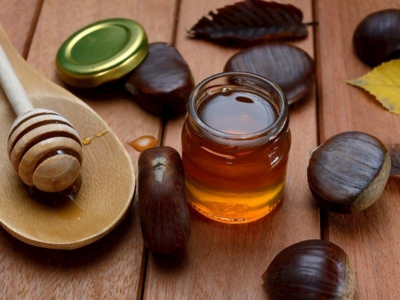 kestane-bali-neye-iyi-gelir-faydalari-nelerdir-b5bda8ca-58d3-41e3-b6ec-b76e7f2528f5