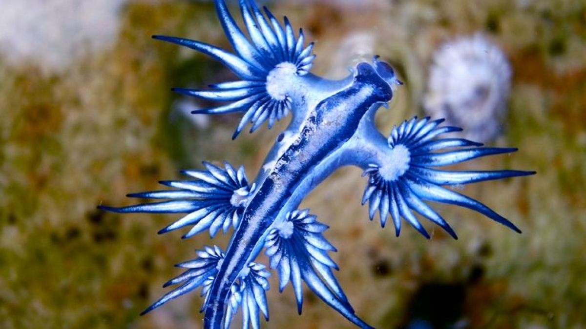 resim-2025-08-26-232140380