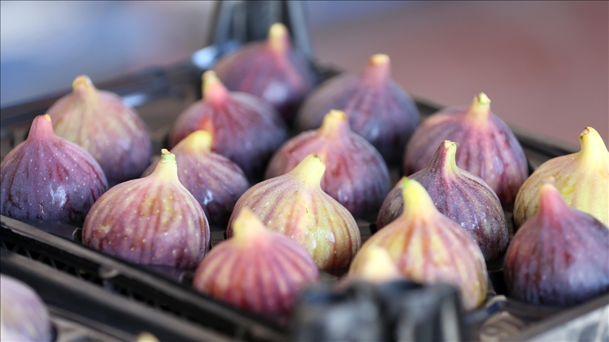 thumbs-b-c-0afebbaa612183c2d15da2af1d6a69f8