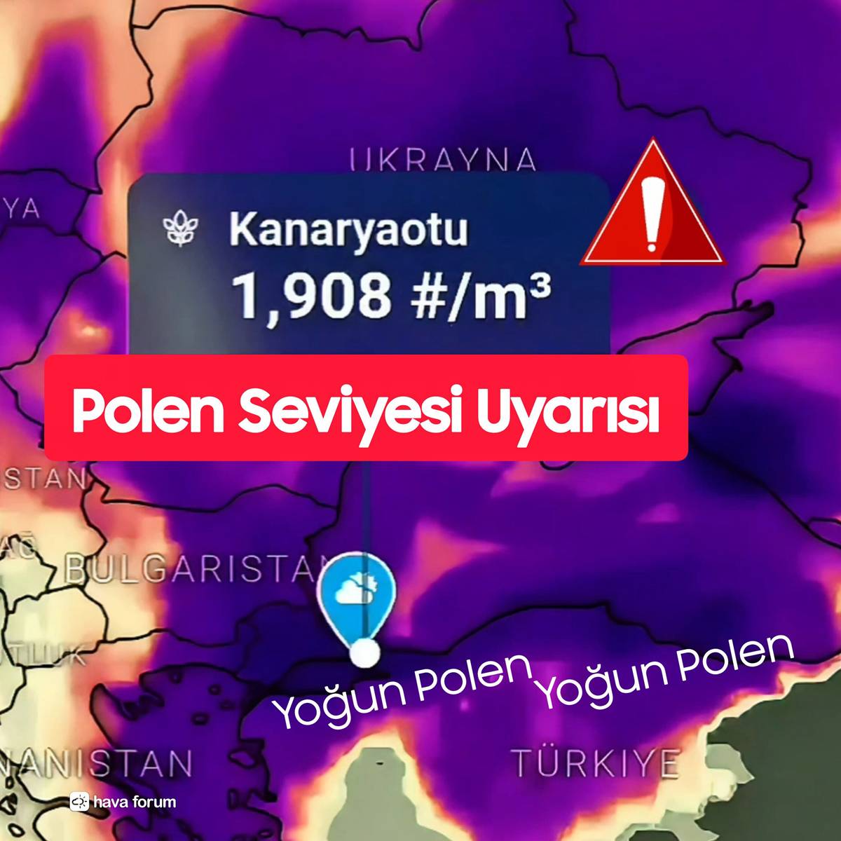istanbul-polen-yogunlugu-ne-zaman