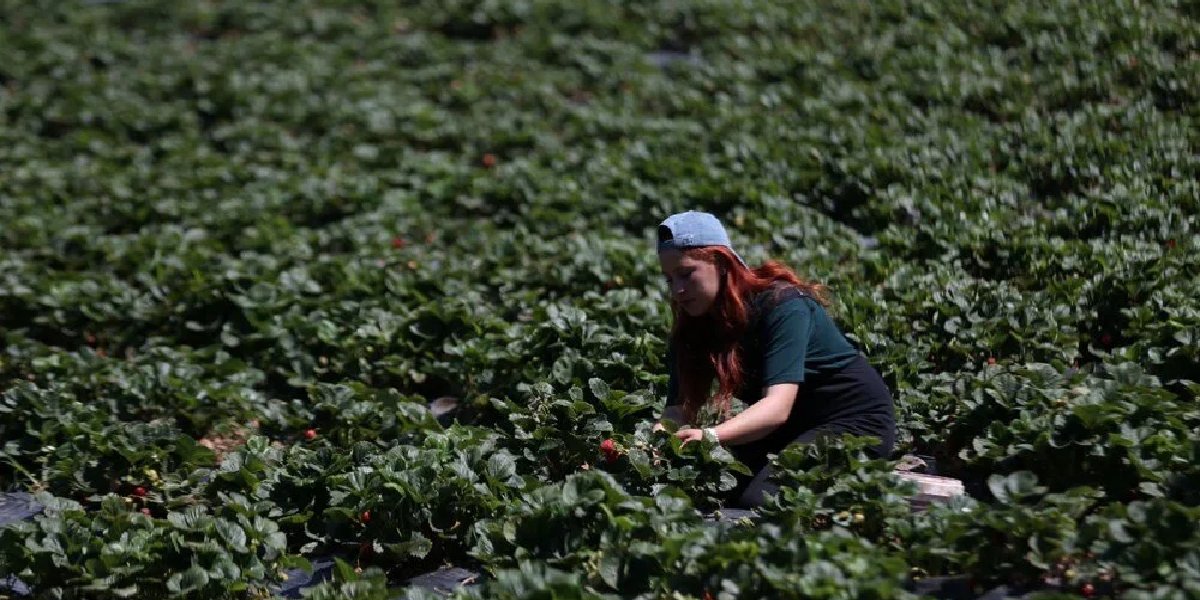 ozlem-aydin-canakkale-yenice
