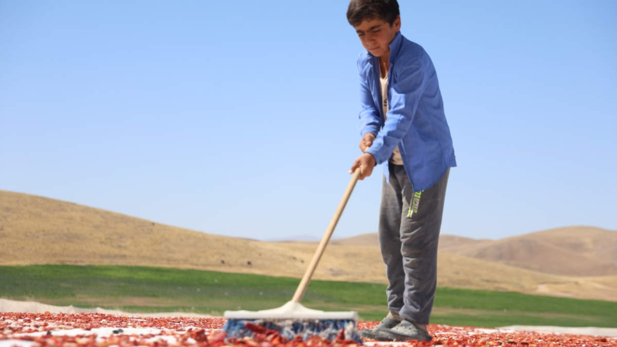 resim-2025-08-27-125542432