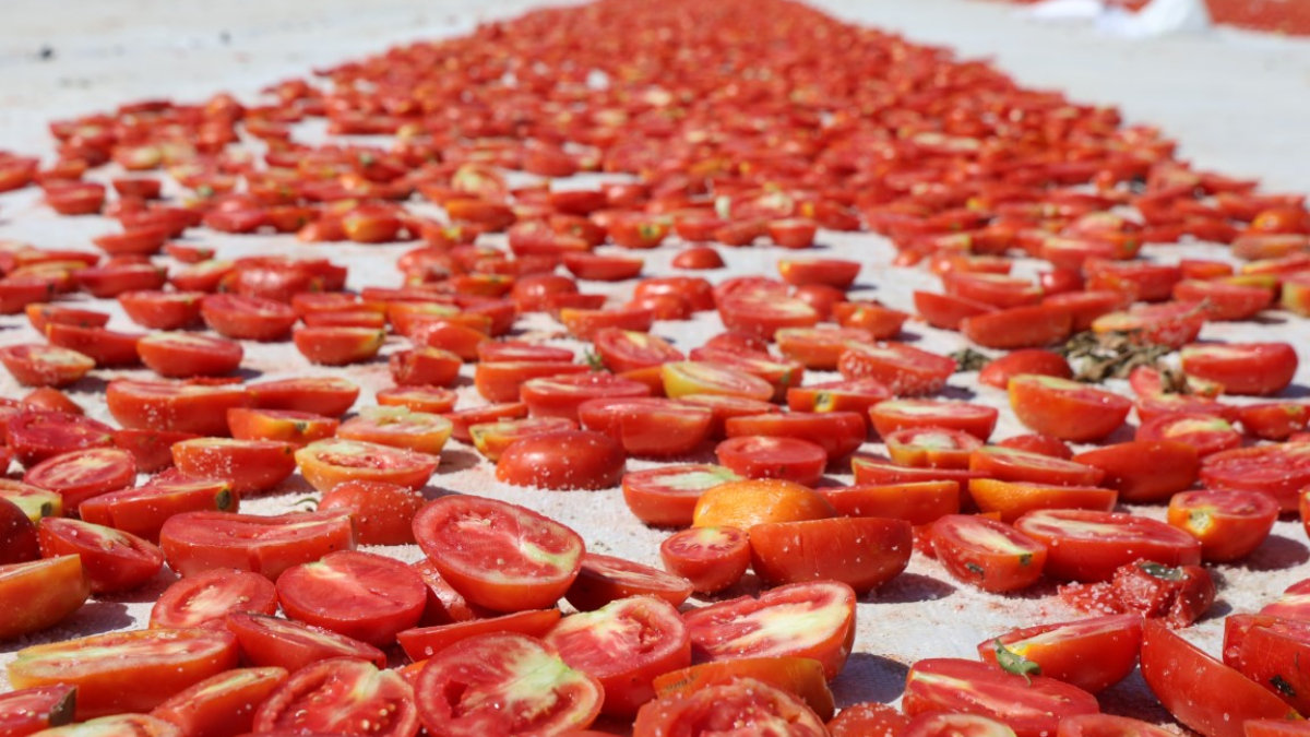 resim-2025-08-27-125600475