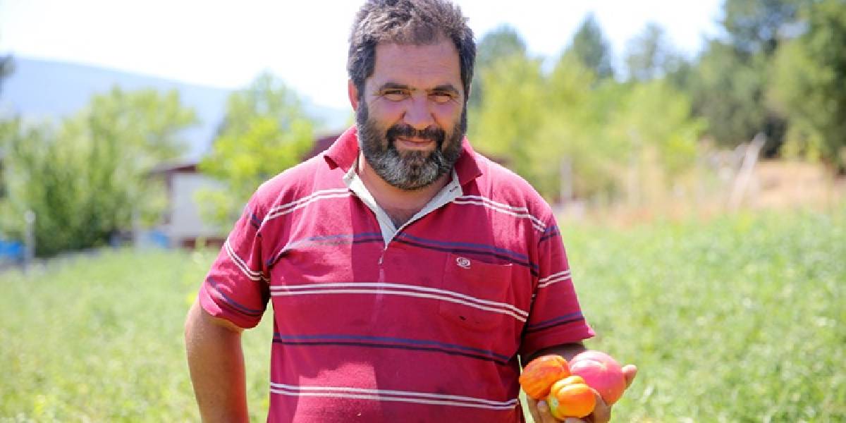 safranboluda-ata-tohumundan-2