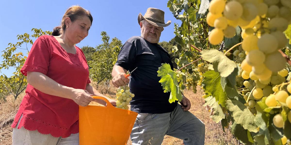 zonguldakta-bagcilik-yapan-1