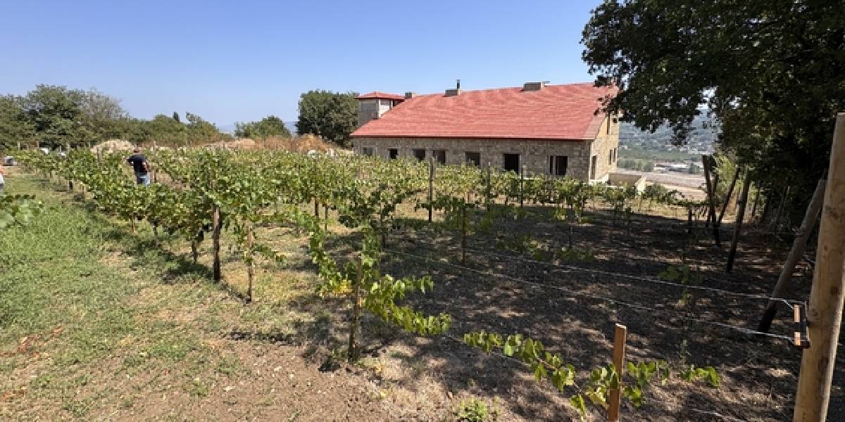 zonguldakta-bagcilik-yapan-2