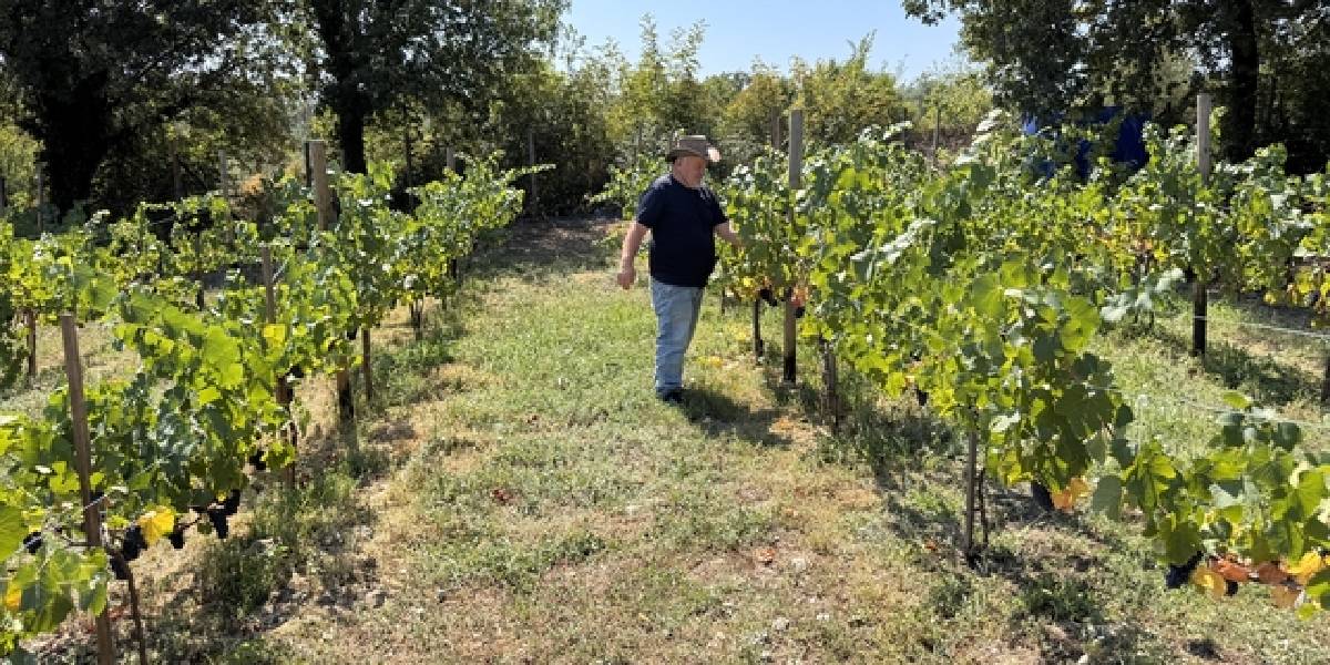 zonguldakta-bagcilik-yapan-3