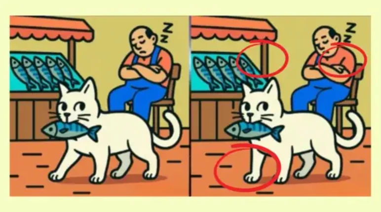 balik-kedi-cozmek-nt64