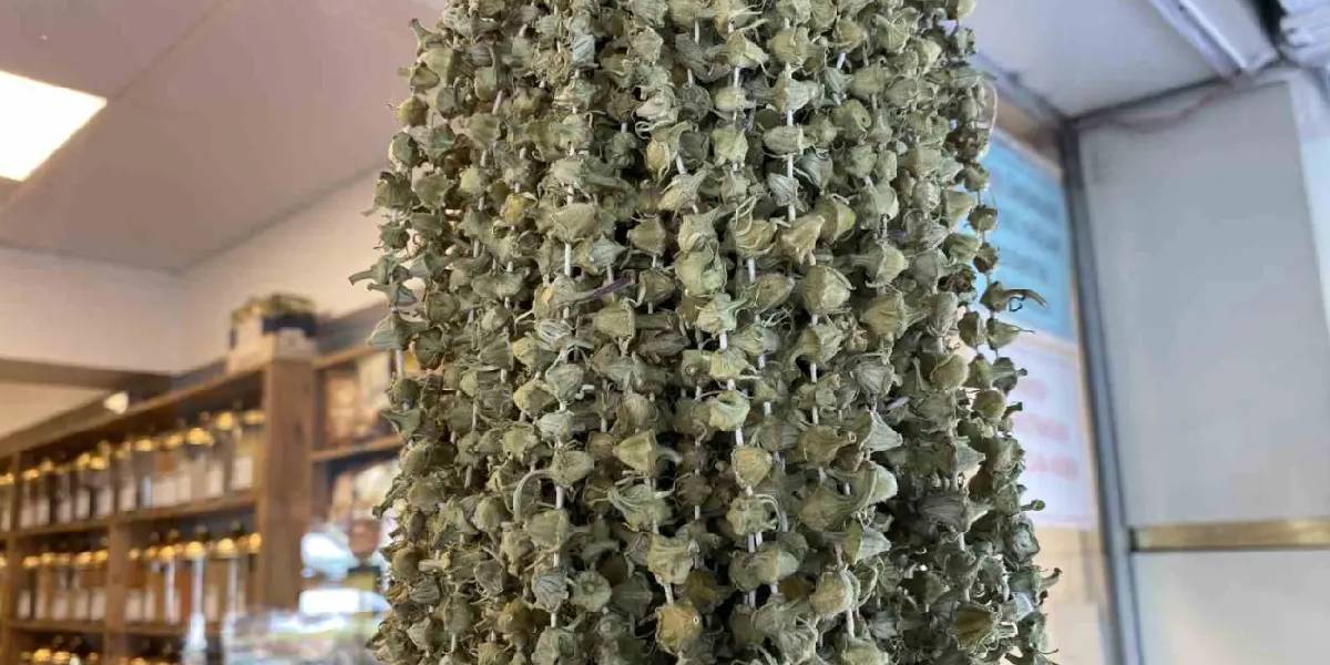 bamya-fiyatlari-dustu-1