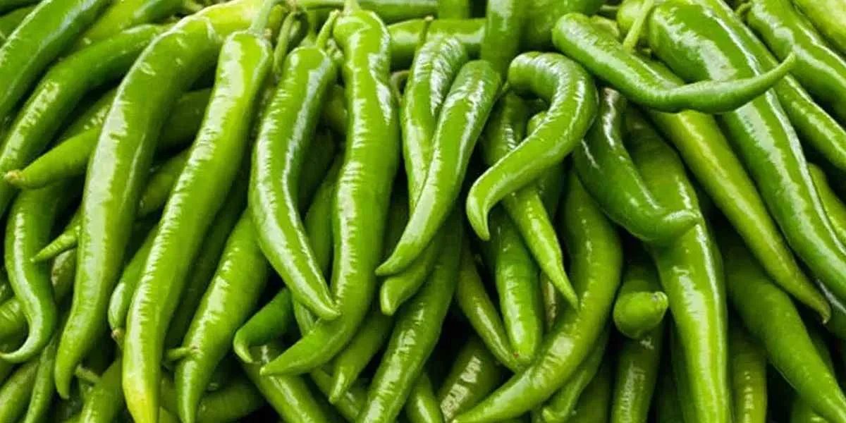 biberin-aci-olup-olmadigi-nasil-anlasilir