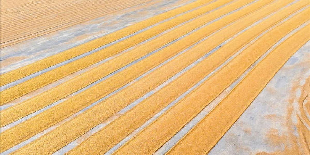 gaziantepte-bulgur-3