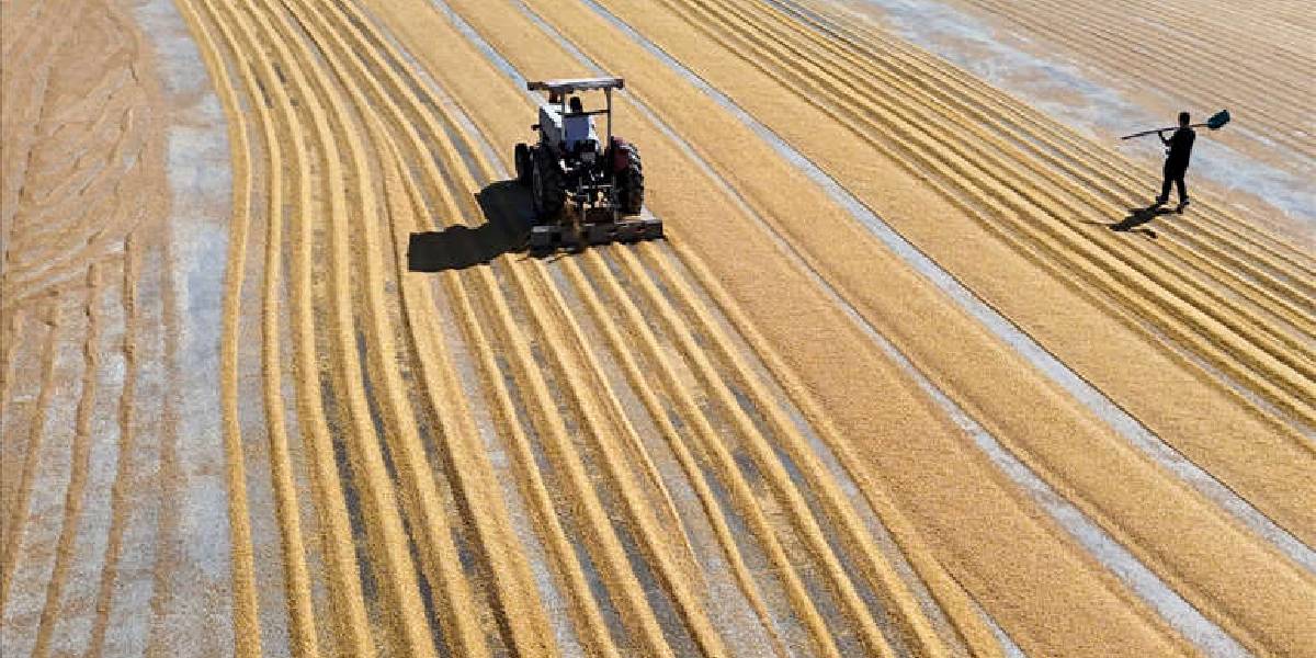 gaziantepte-bulgur-4