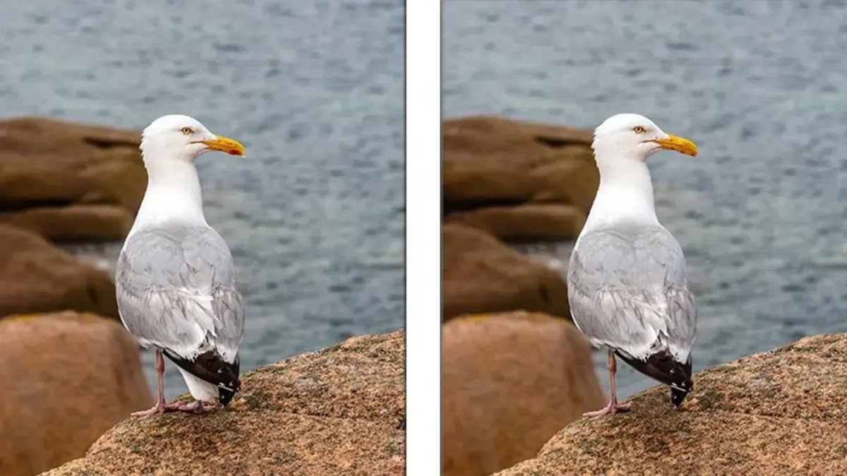 iki-resim-fark-test-kapak