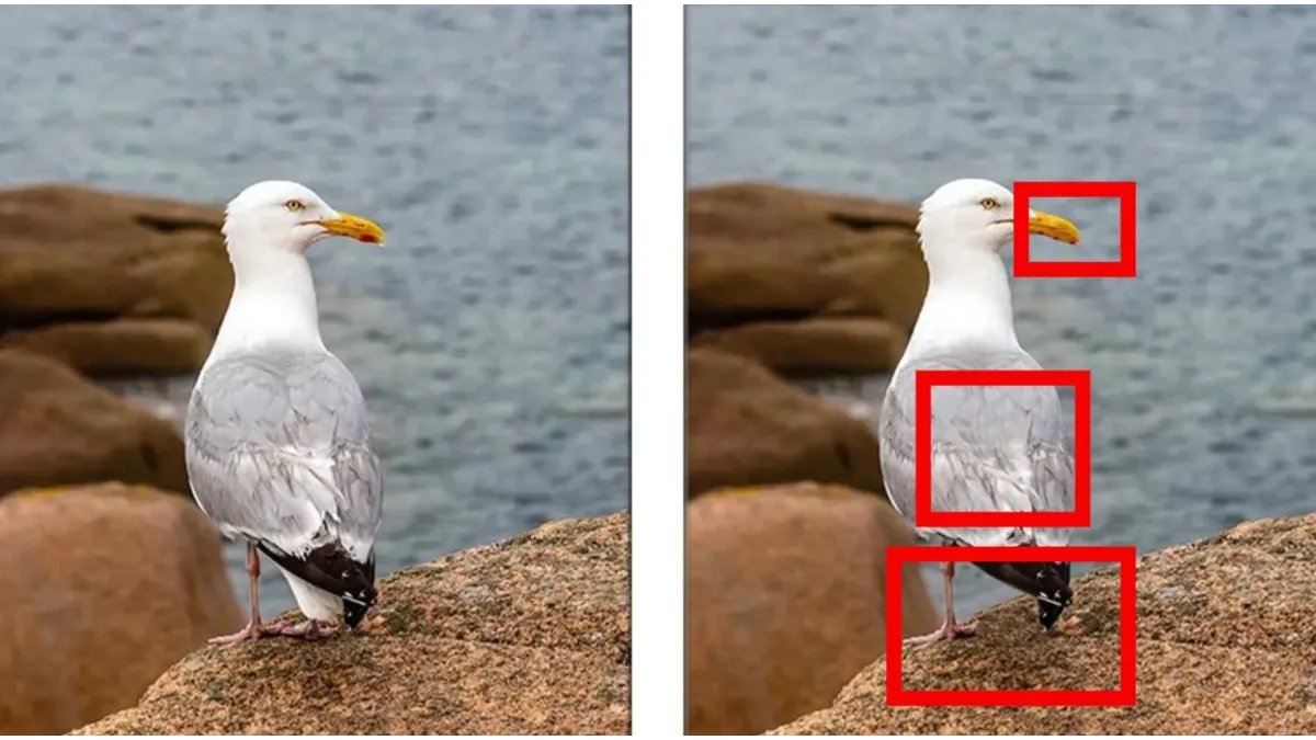 iki-resim-fark-test-yanit