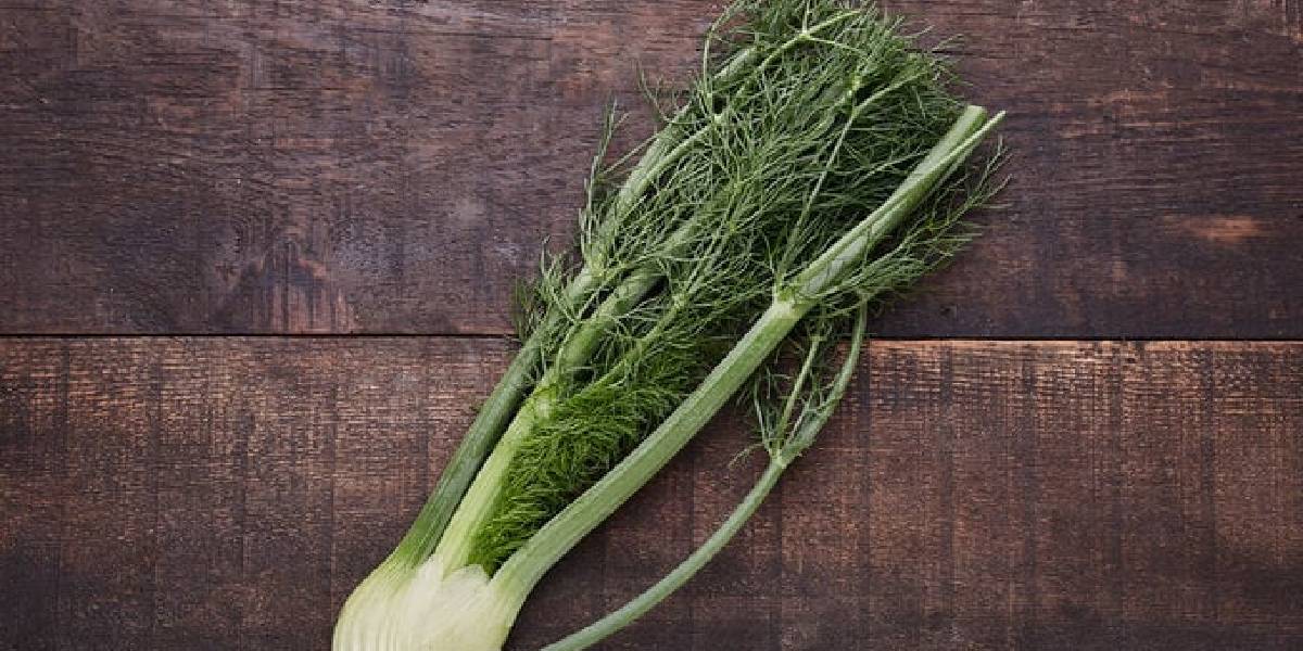 masterchef-turkiye-4uncu-yedek-yarismaci