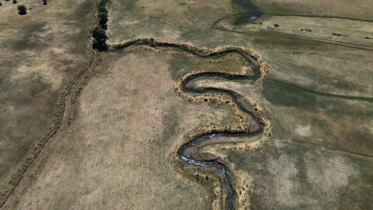 resim-2025-08-28-141826787