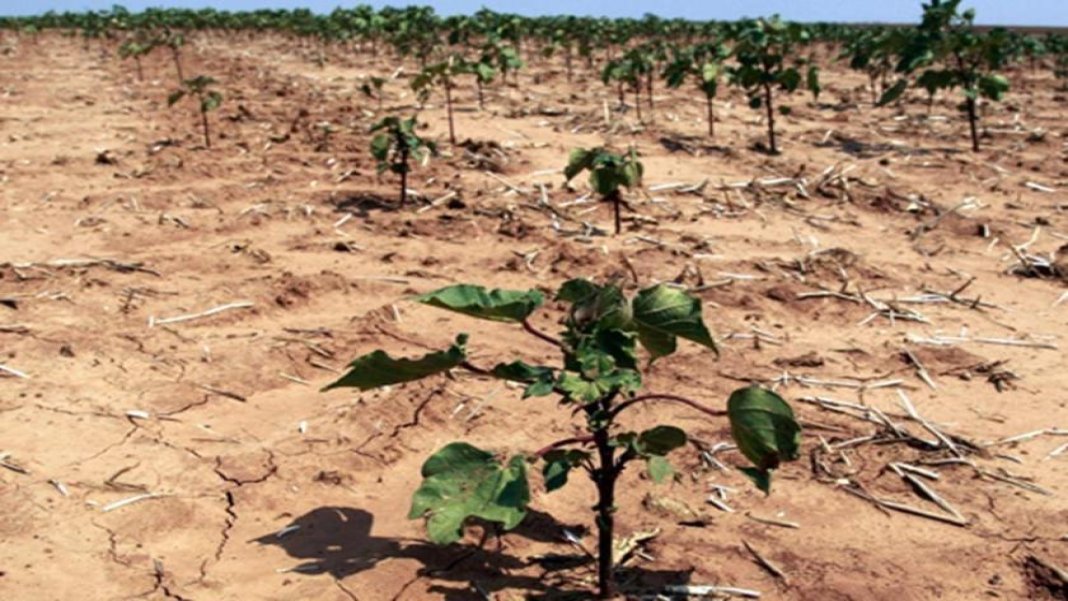 turkiyenin-en-unlu-meteorologu-kotu-haberi-verdi-65-yilin-en-kotusu-5