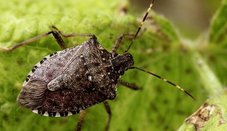 200495576260052-img-292024-194652-2