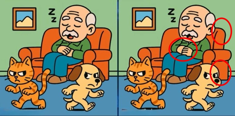 ik-iresim-arasindaki-fark