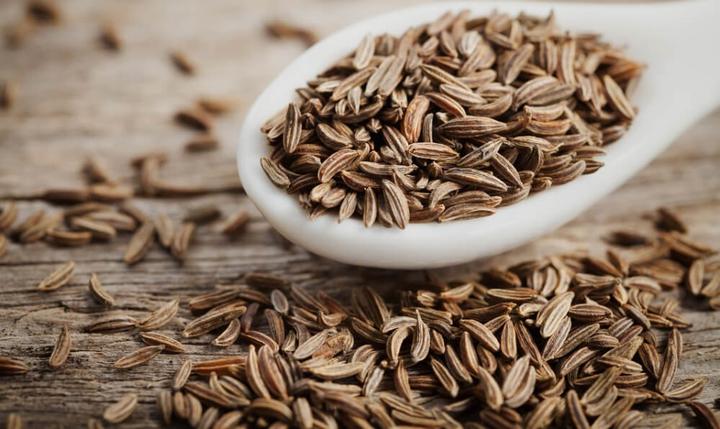 kimyon-tohumu-1-1-720x479