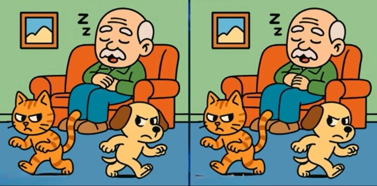 resim-2025-08-29-004647987