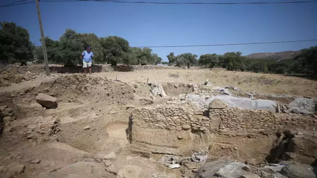 resim-2025-08-29-020854964