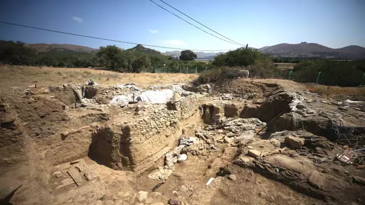 resim-2025-08-29-020909537