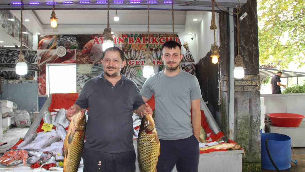 resim-2025-08-30-004400141