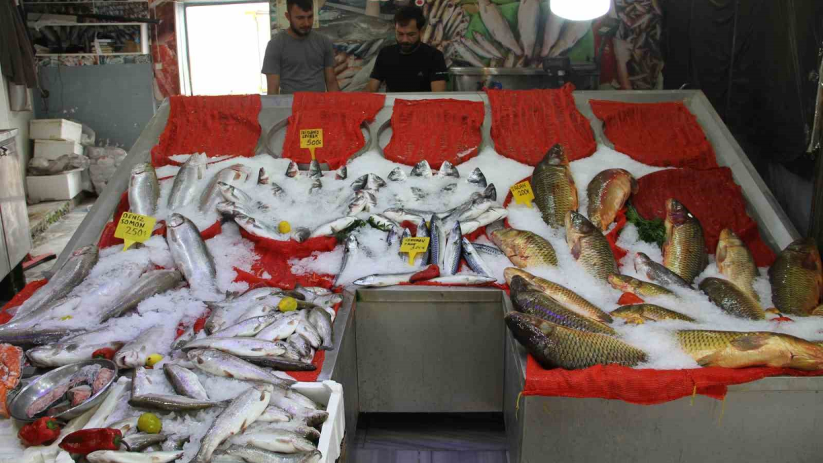 resim-2025-08-30-004419587