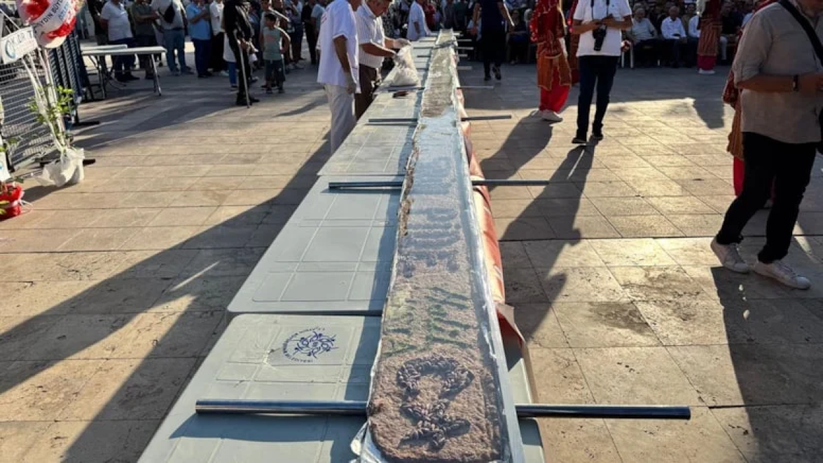 resim-2025-08-30-022634205