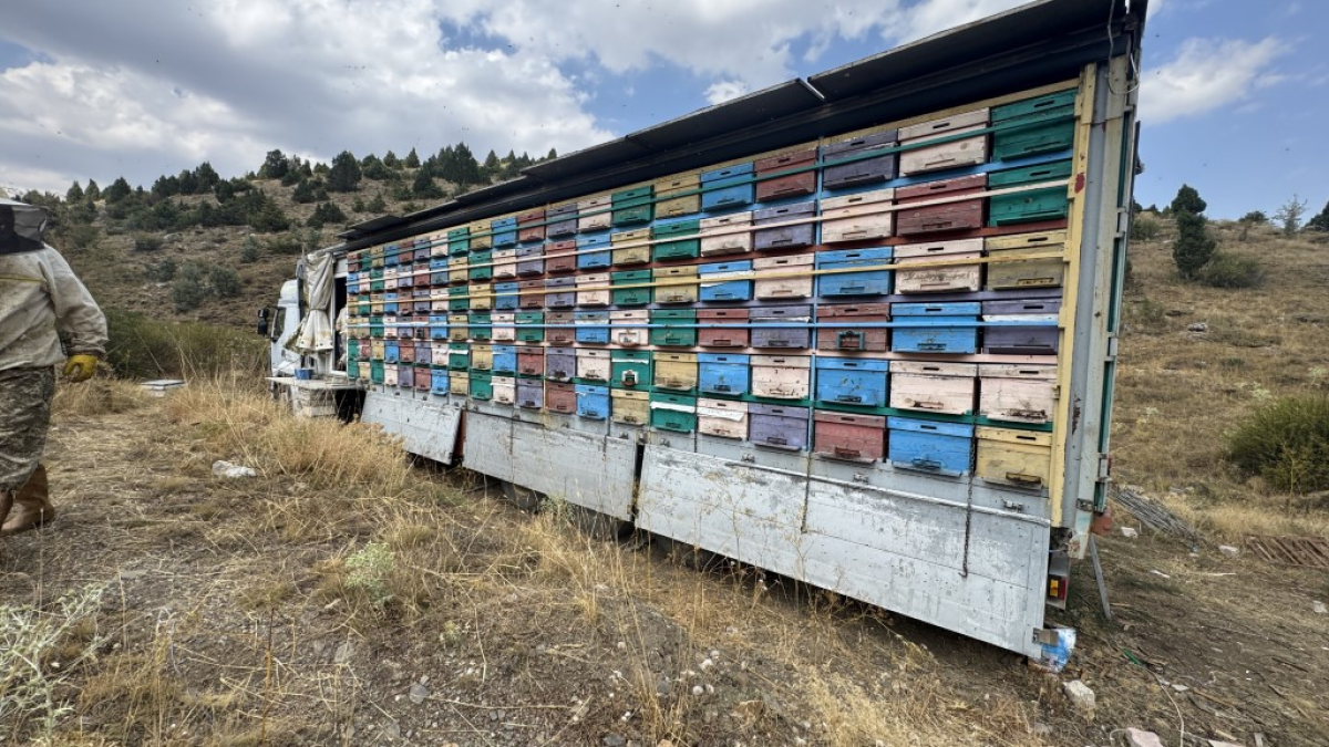 resim-2025-08-30-130406894