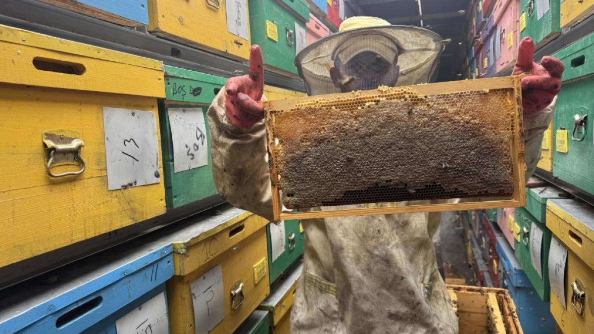 resim-2025-08-30-130425422