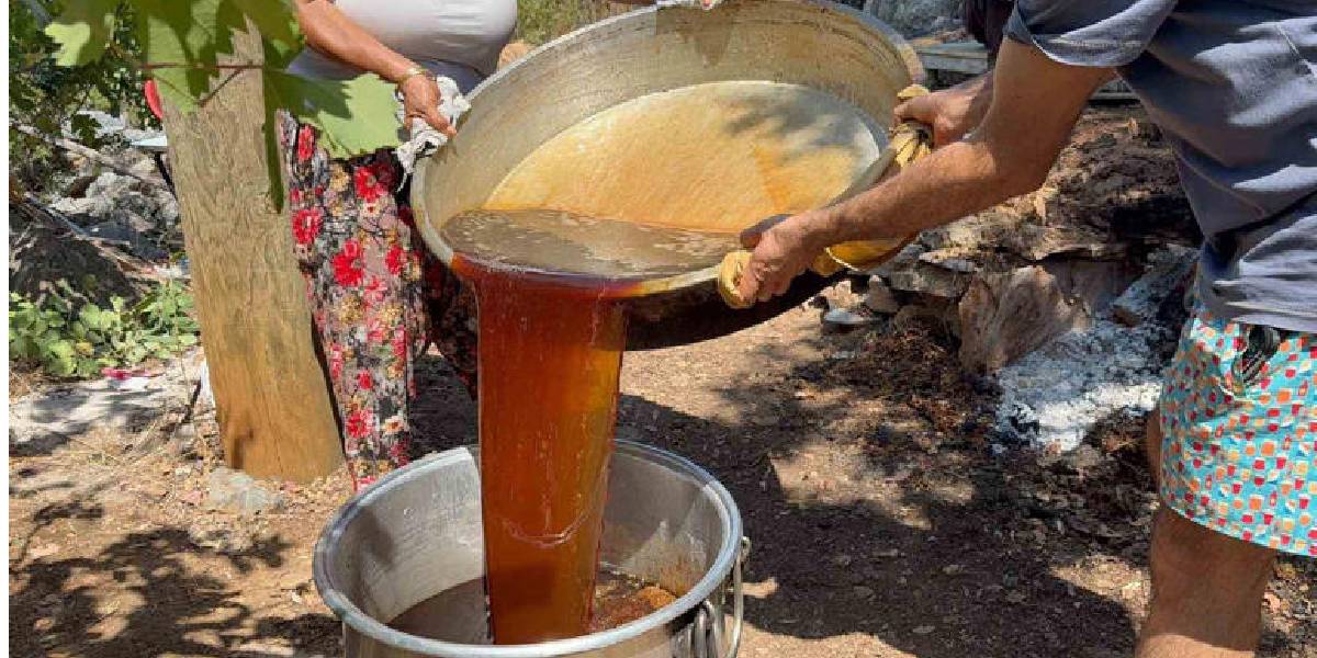 antalyada-pekmez-uretimi-2