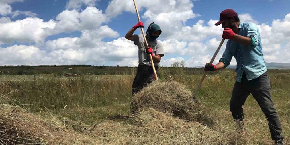 ardahanda-geleneksel-yontemlerle-1