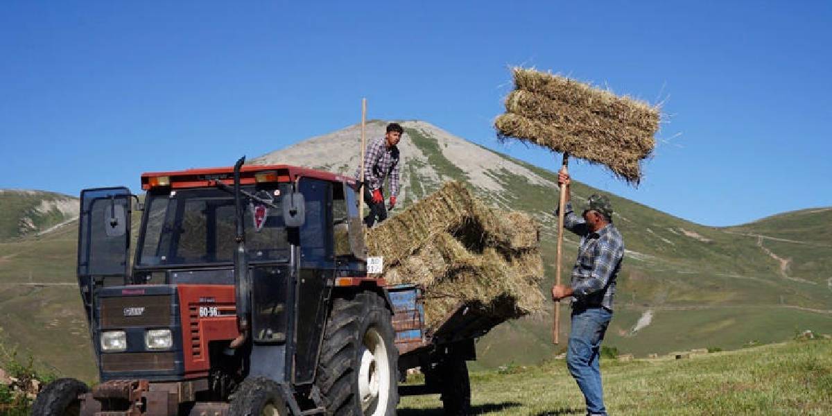 ardahanda-geleneksel-yontemlerle-3