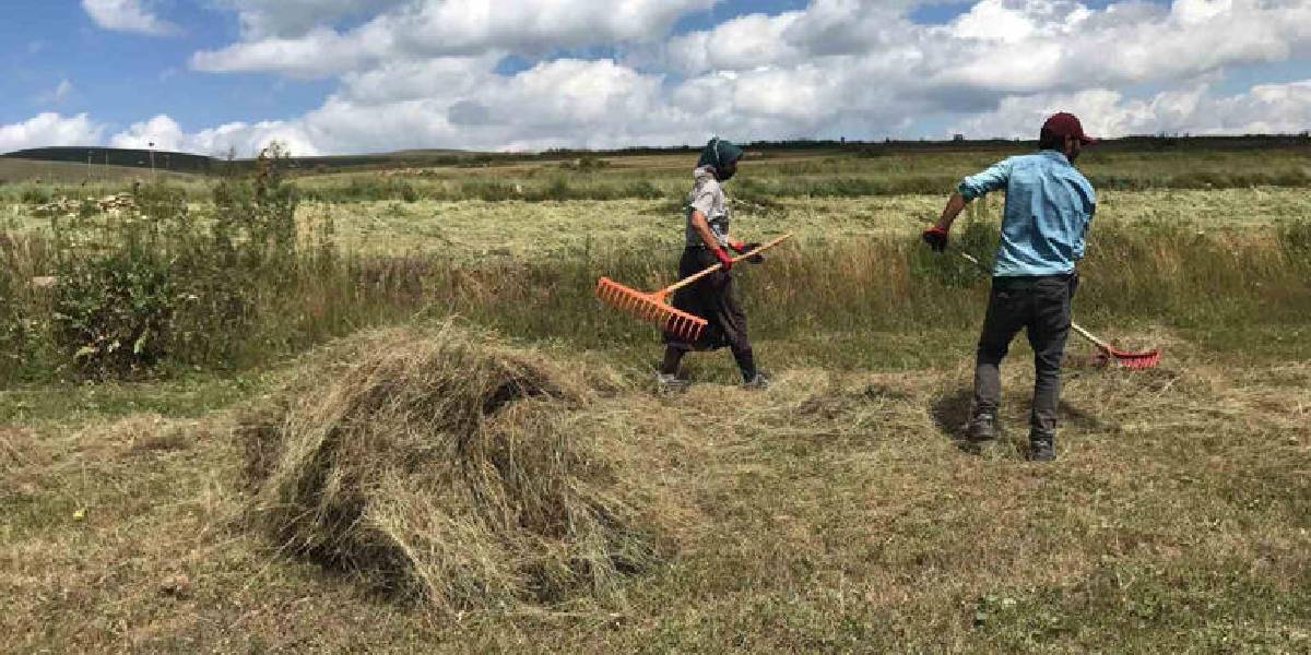 ardahanda-geleneksel-yontemlerle-4