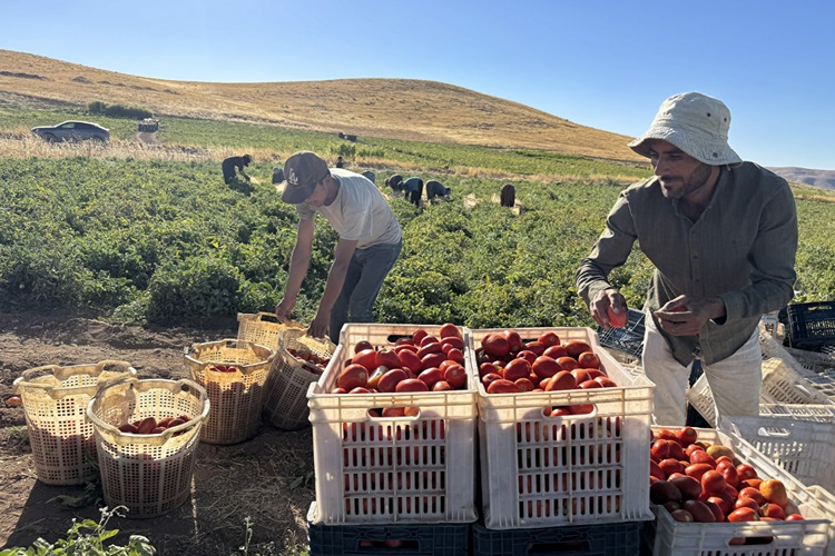 resim-2025-08-31-095937979-001