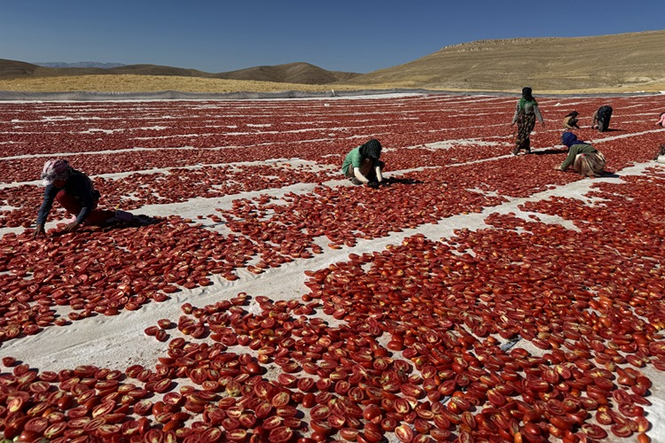 resim-2025-08-31-095953971