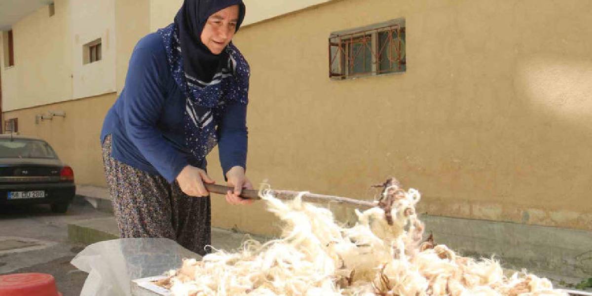 sivasta-yun-cirpma-1