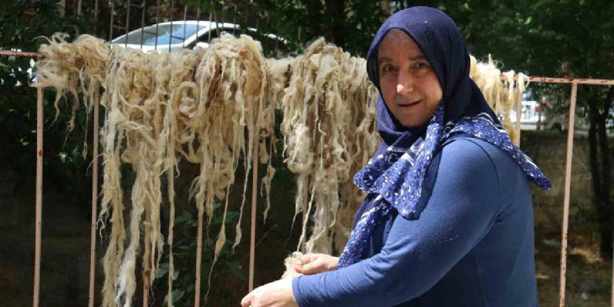 sivasta-yun-cirpma-2