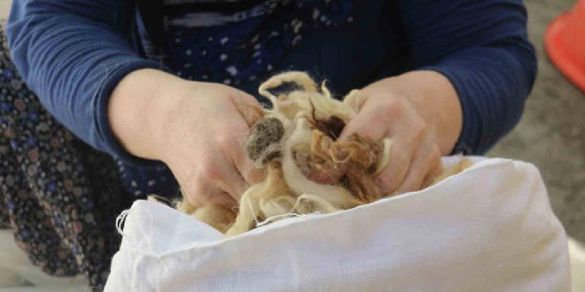 sivasta-yun-cirpma-3