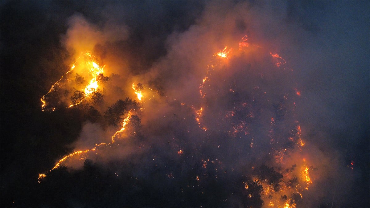 abasliksiz-9.jpg