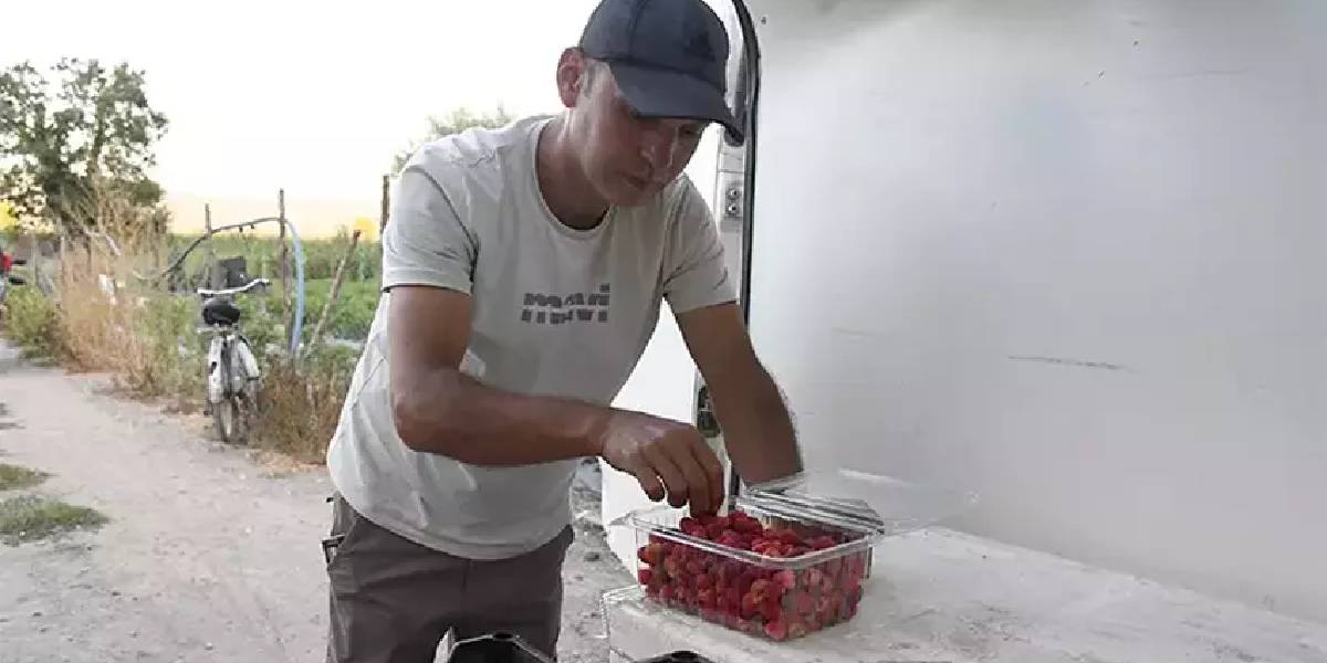 duzcede-babadan-kalma-2