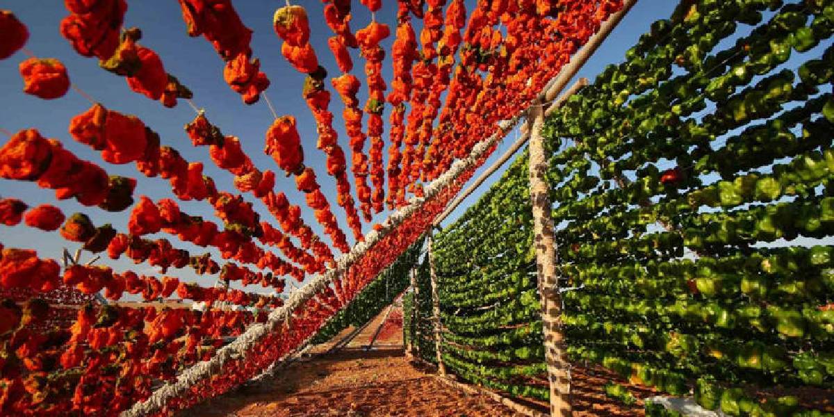 gaziantep-tescilli-3