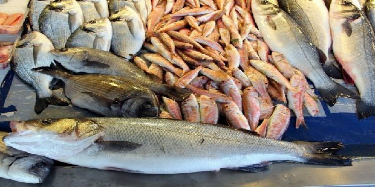 izmir-buyuksehir-su-urunleri-hali-2