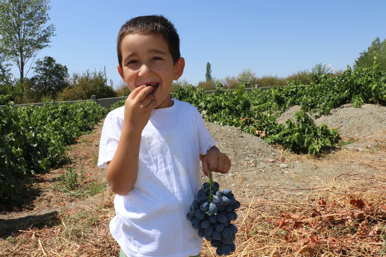 whatsapp-gorsel-2025-09-01-saat-08-31-03-1e17ff93