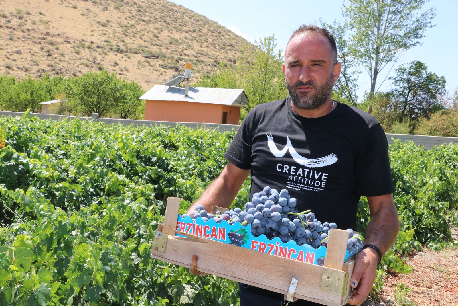 whatsapp-gorsel-2025-09-01-saat-08-31-03-e0f313dc